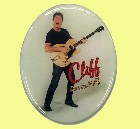Oval Rock'n'Roll Fridge Magnet